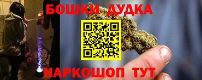 стафф Шелехов