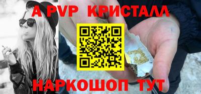 стафф Шелехов