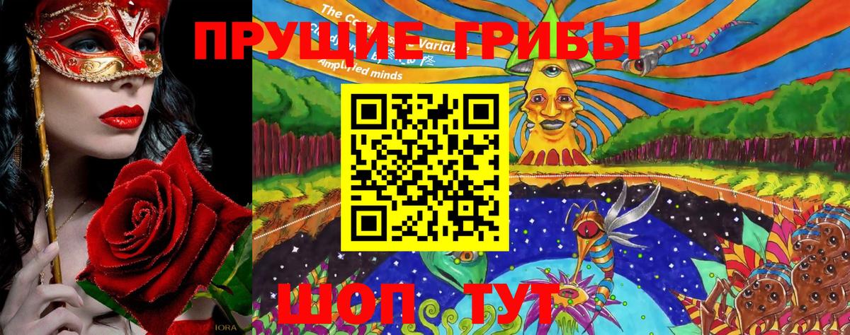 Галлюциногенные грибы Cubensis  Псилоцибиновые грибы мицелий  Павлово  как найти наркотики  Вход с VPN 